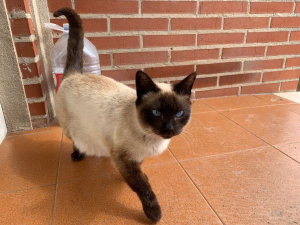 Miga de Pan
